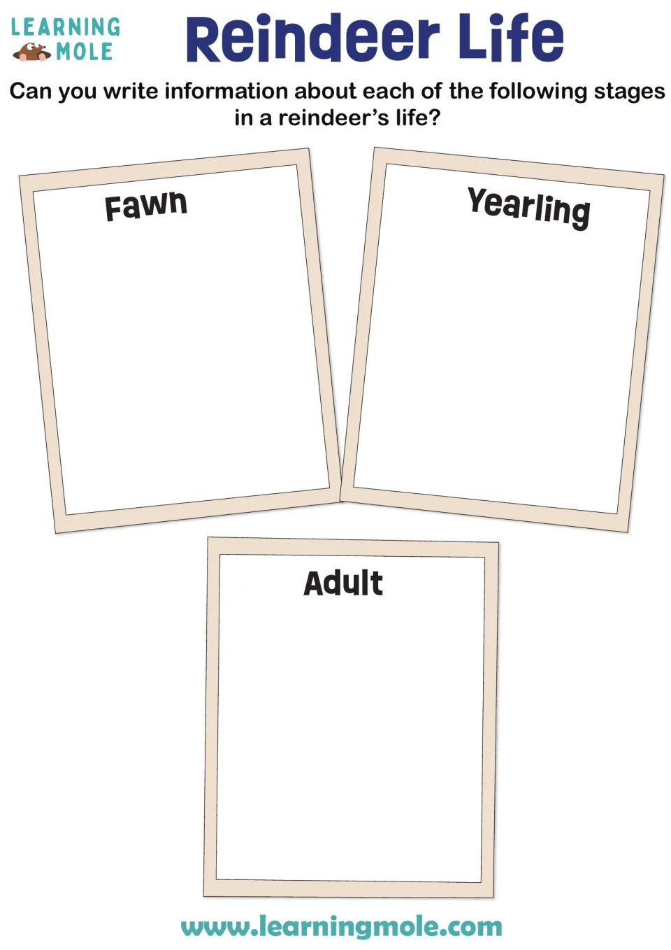 Reindeer life cycle: students write information about each life stage of a reindeer, the fawn, yearling and adult