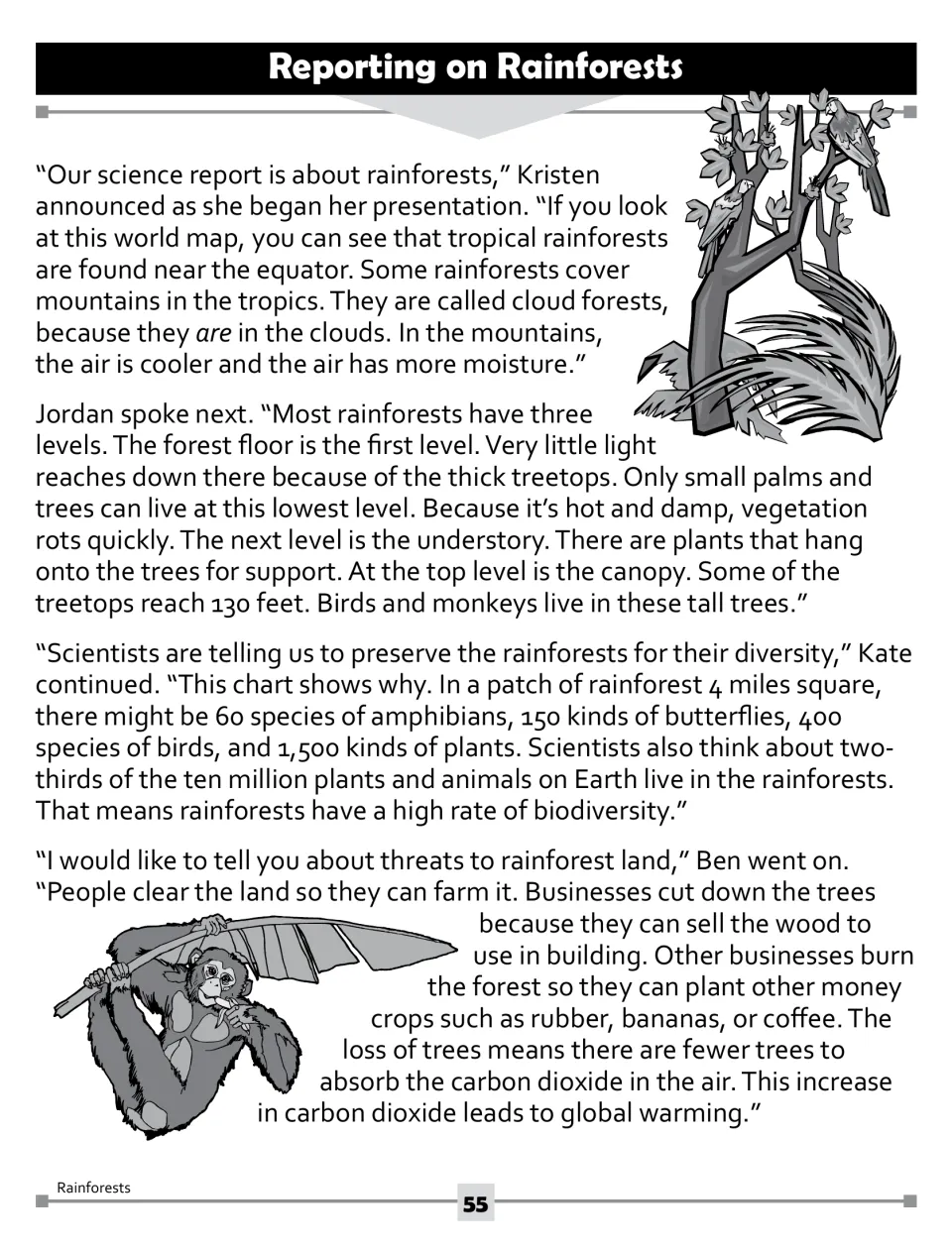 Story part 1: four students present on where rainforests grow, the three forest levels, biodiversity and threats