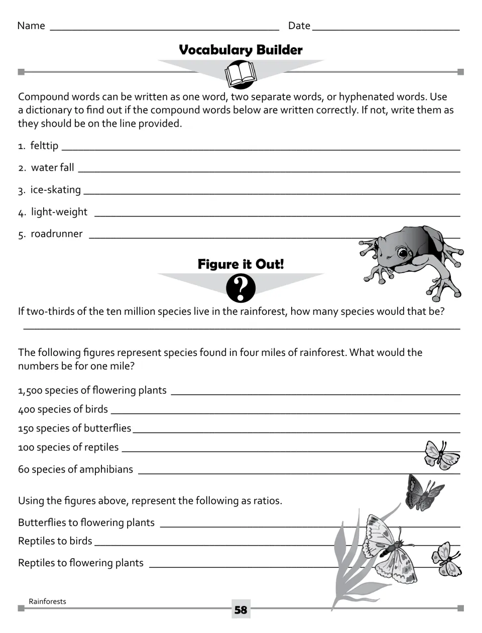 Compound word checks (felttip, water fall, roadrunner) and math on rainforest species counts per mile and ratios