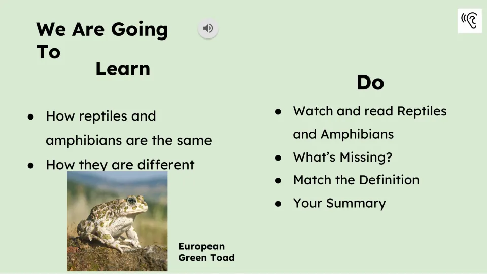 Lesson objectives compare the two animal groups and list watching, reading, vocabulary tasks, and a summary