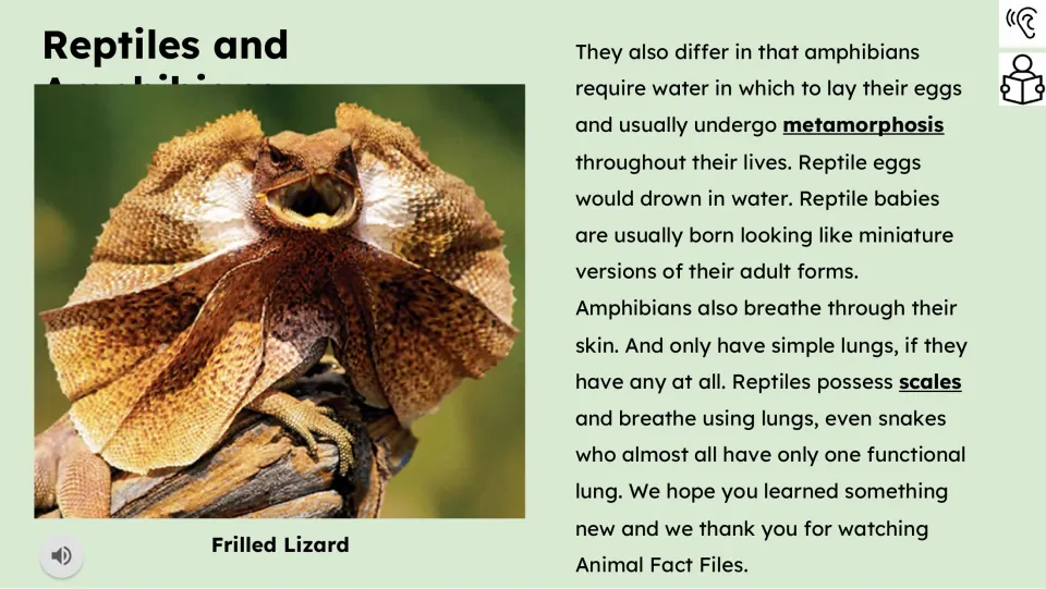 Reading passage part 2 compares eggs, metamorphosis, skin breathing, scales, and lungs in the animal groups