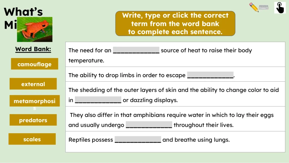 Vocabulary completion activity uses five terms to fill sentences about heat, predators, skin, eggs, and scales