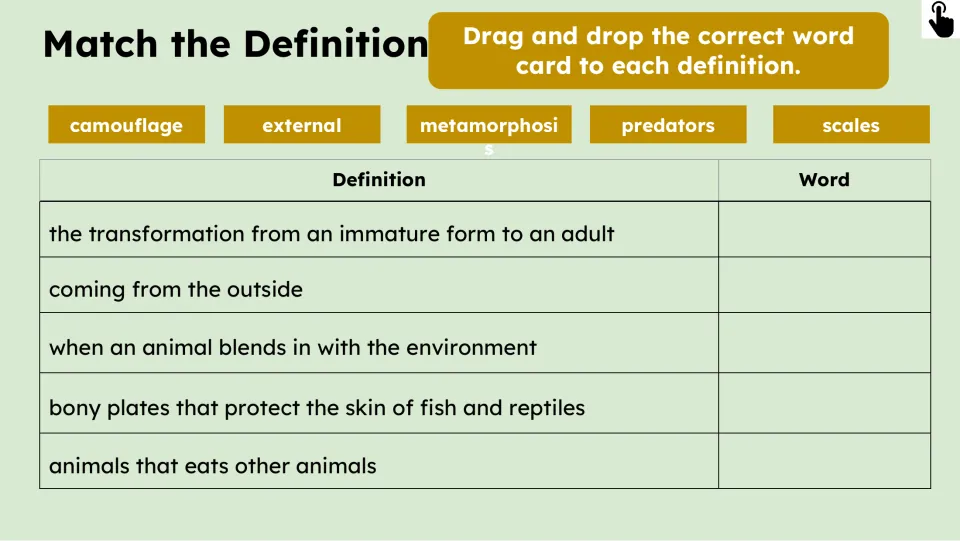 Definition matching activity asks students to match camouflage, external, metamorphosis, predators, and scales