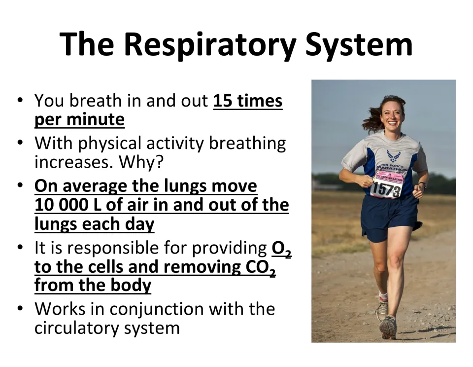 Introductory slide states 15 breaths per minute and explains oxygen delivery and carbon dioxide removal