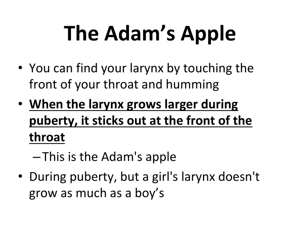 Larynx lesson slide describes finding it by humming and explains how growth during puberty forms the Adam’s apple