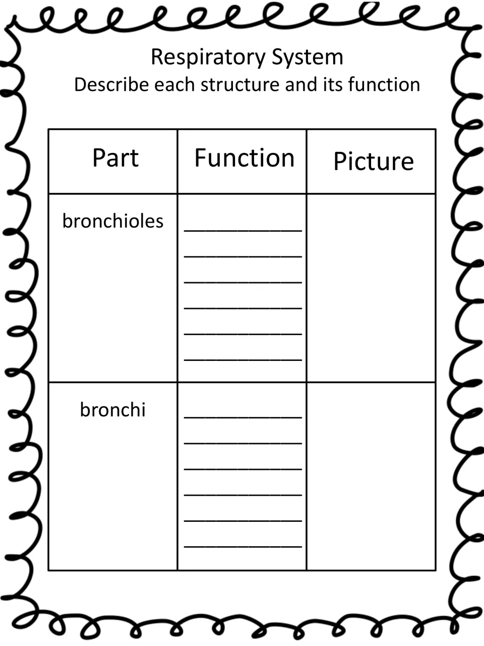 Bronchioles and bronchi chart: students explain the function of each airway branch and draw a picture of each one