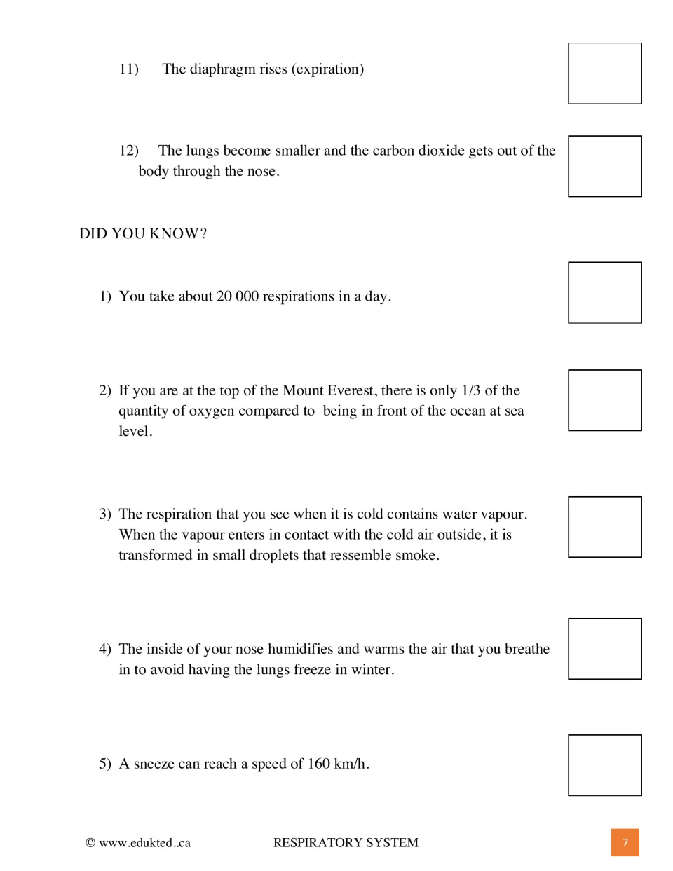 Expiration steps 11-12 and five Did You Know facts on daily breaths, Everest oxygen and sneeze speed for students to draw