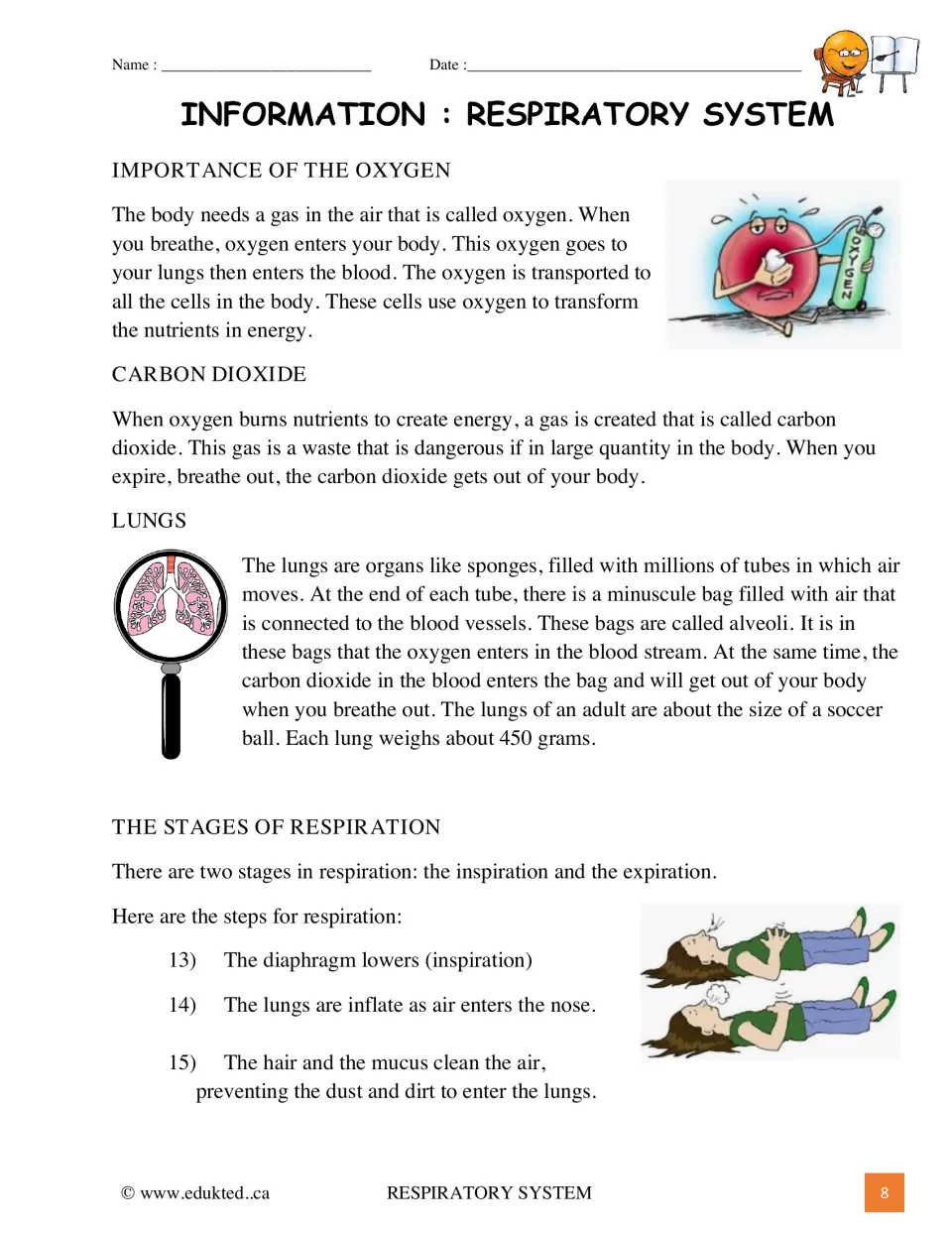 Illustrated reading on oxygen, carbon dioxide, lungs and alveoli, plus inspiration steps 13 to 15 with breathing pictures