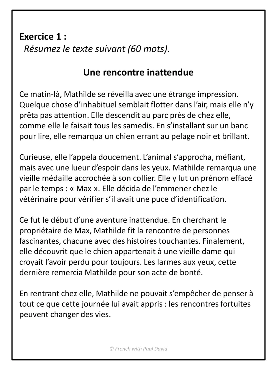 French summary writing, Exercice 1: students summarize the story Une rencontre inattendue, about a stray dog, in 60 words