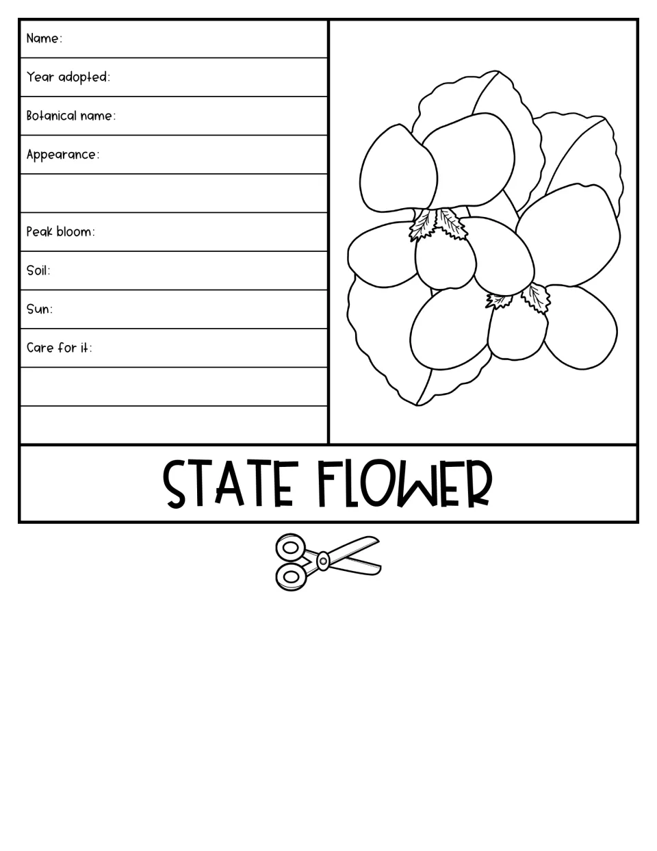 State Flower flipbook page pairs a flower illustration with prompts for botanical name, bloom, soil, and sun