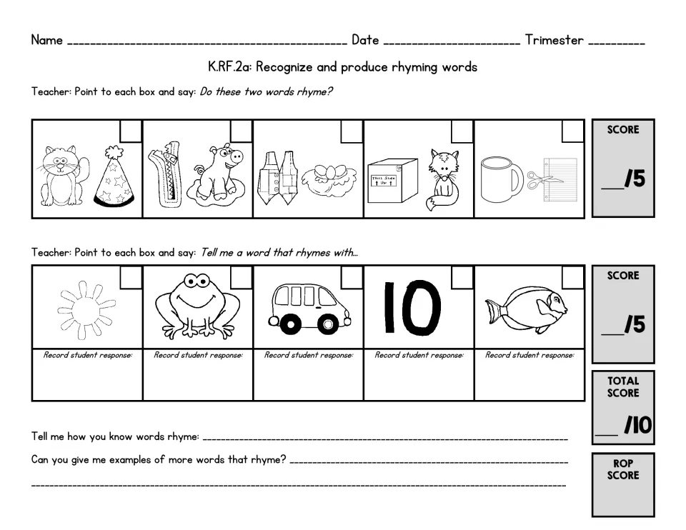 Rhyme check: children say if picture pairs like cat/hat and box/fox rhyme, then give a rhyme for sun, frog and fish