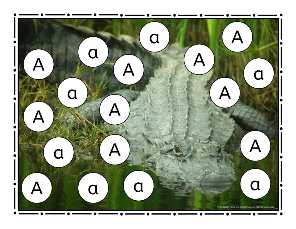 Letter A roll-and-cover game mat featuring uppercase A and lowercase a over an alligator photograph