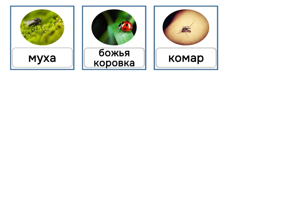 Russian lowercase vocabulary cards 13–15: муха (fly), божья коровка (ladybug), and комар (mosquito)
