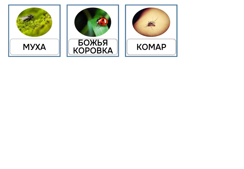 Russian uppercase vocabulary cards 13–15: МУХА (fly), БОЖЬЯ КОРОВКА (ladybug), and КОМАР (mosquito)