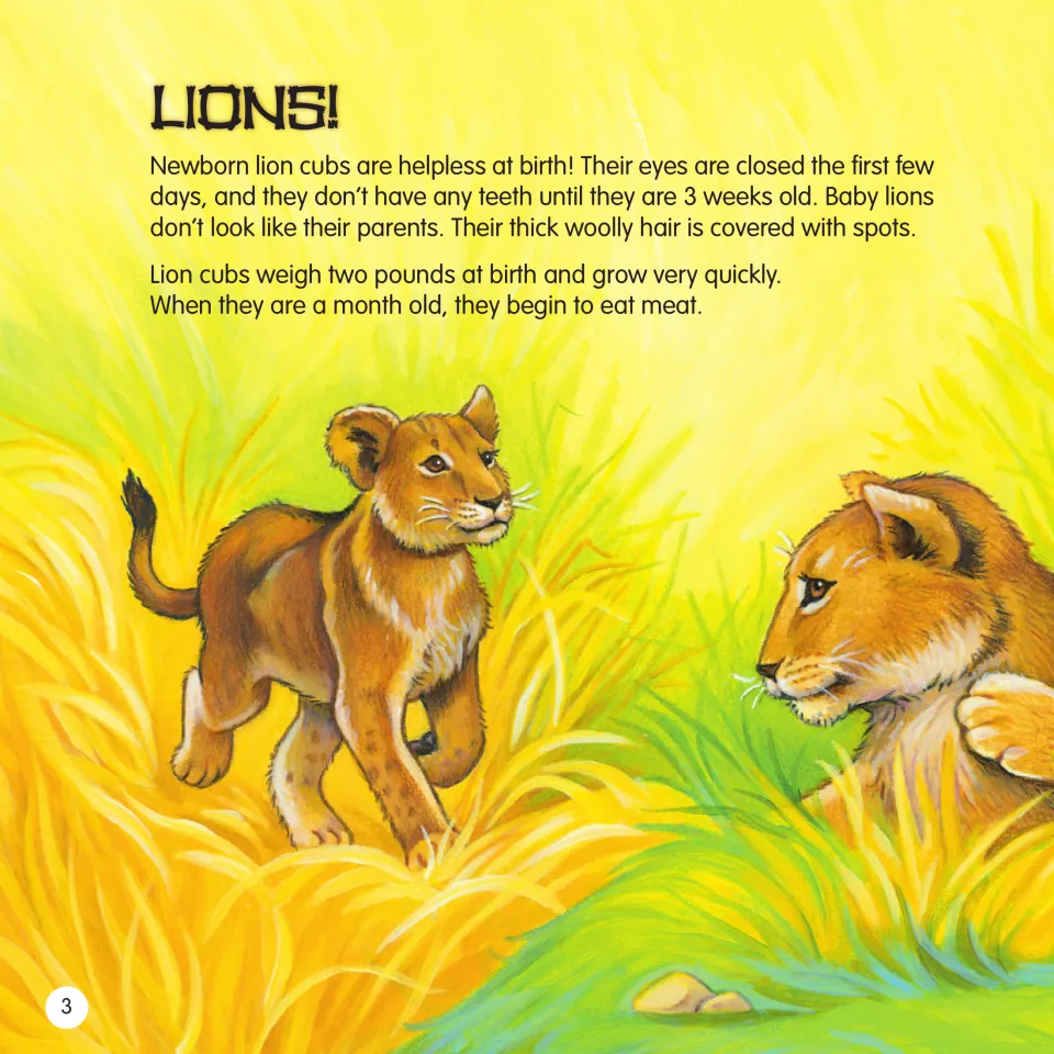 Lions! reading on newborn cubs: born with closed eyes, no teeth until 3 weeks, spotted woolly fur, eating meat at a month