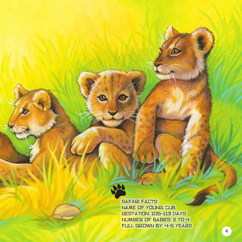 Lion Safari Facts: young called a cub, gestation 105-113 days, 2 to 4 babies, full grown by 4-5 years, shown with 3 cubs