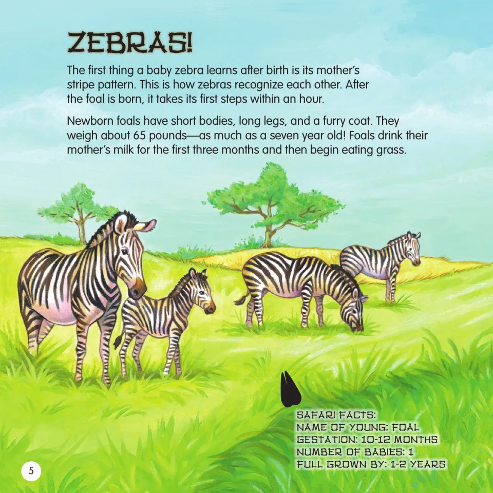 Zebras! reading on foals learning the mother's stripes, walking within an hour, weighing 65 pounds, plus Safari Facts