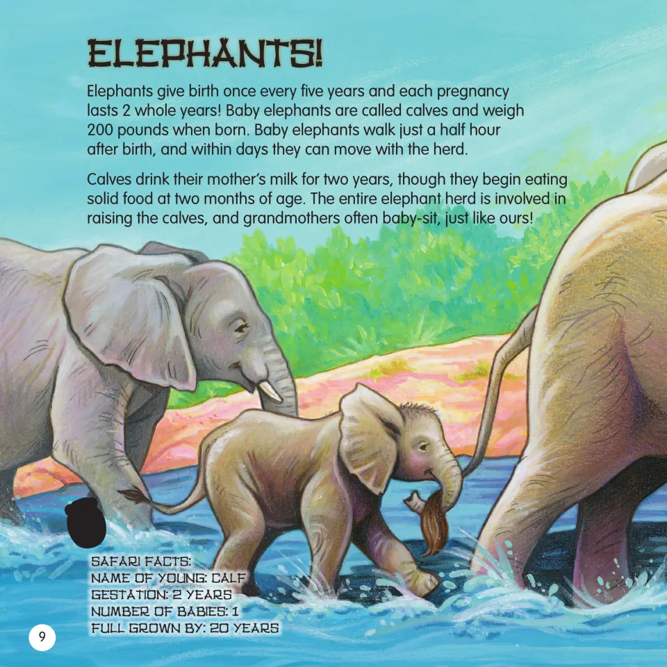 Elephants! reading on 200-pound calves that walk in half an hour and are raised by the herd; Safari Facts: 2-year gestation