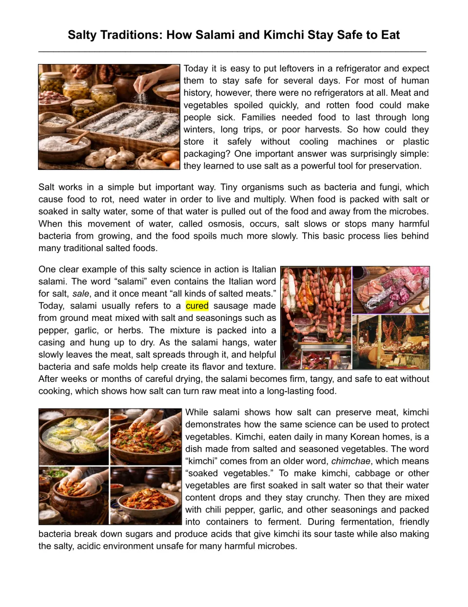 Salt preservation reading passage: students read how osmosis keeps Italian salami and Korean kimchi safe to eat