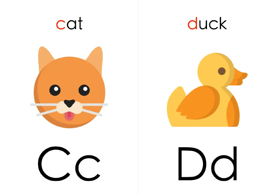 Letter flash cards Cc and Dd: a cat face and a yellow duck, each word's first letter in red to link letters and sounds
