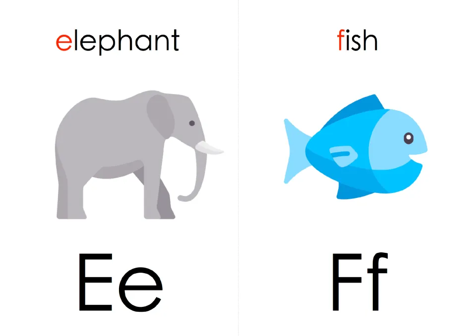 Letter flash cards Ee and Ff: elephant and fish pictures with red initial letters for matching letters to beginning sounds