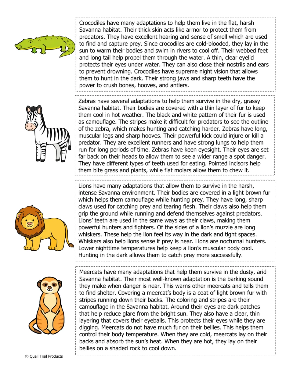 Reading passages on crocodile, zebra, lion and meerkat adaptations such as camouflage, night vision and strong jaws