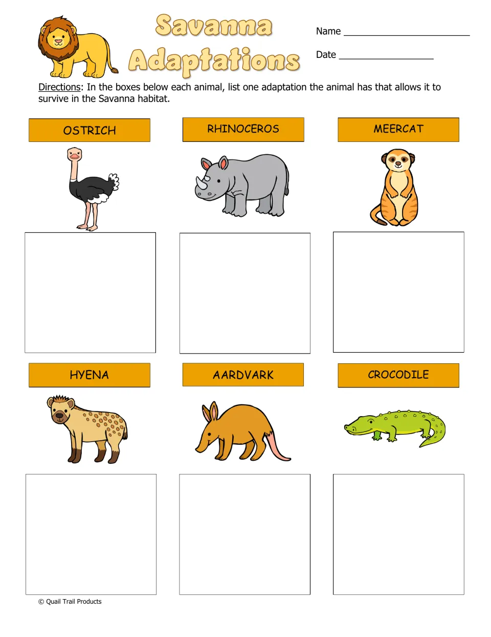 Savanna Adaptations: students list one adaptation each for the ostrich, rhino, meerkat, hyena, aardvark and crocodile