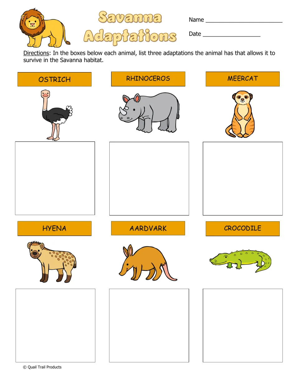 Savanna Adaptations: students recall three survival adaptations each for the ostrich, rhino, meerkat, hyena and others