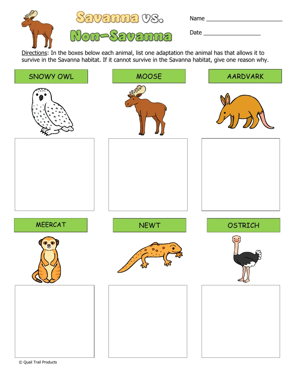Savanna vs. Non-Savanna: students give one adaptation or one reason a snowy owl, moose, newt or other animal can't survive
