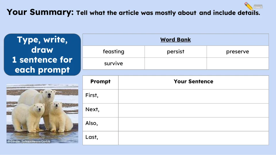Summary activity asks for one sentence each beginning First, Next, Also, and Last, supported by a word bank