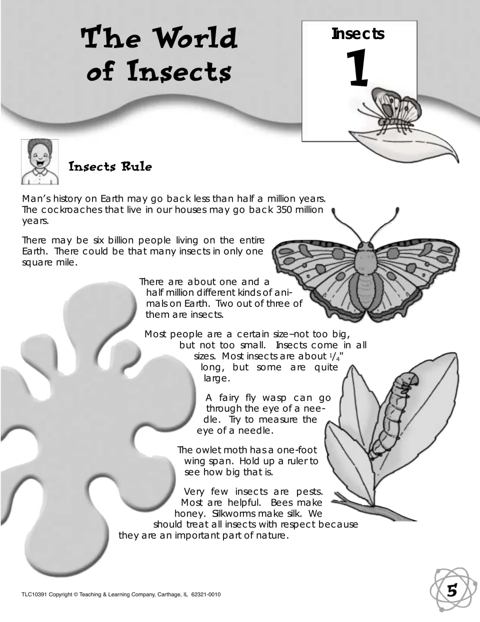 Insects Rule reading for Lab 1: facts on insect numbers, history and sizes, with prompts to measure a needle's eye