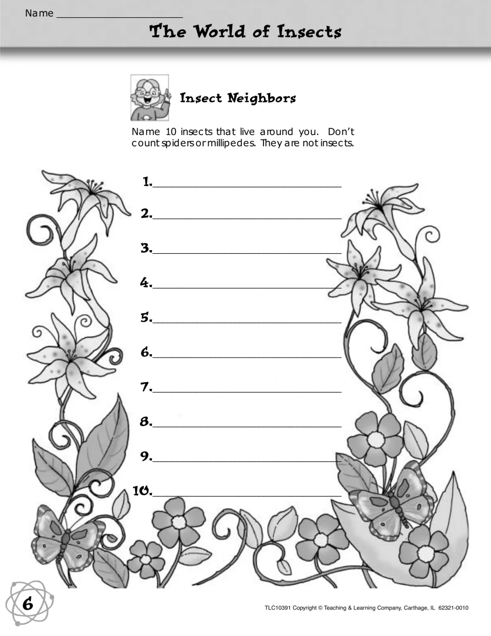 Insect Neighbors: students list 10 insects that live around them, leaving out spiders and millipedes, which are not insects