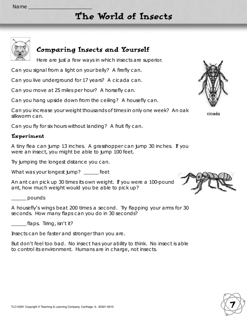 Comparing Insects and Yourself: students read insect feats, then jump, flap arms for 30 seconds and figure an ant's lift