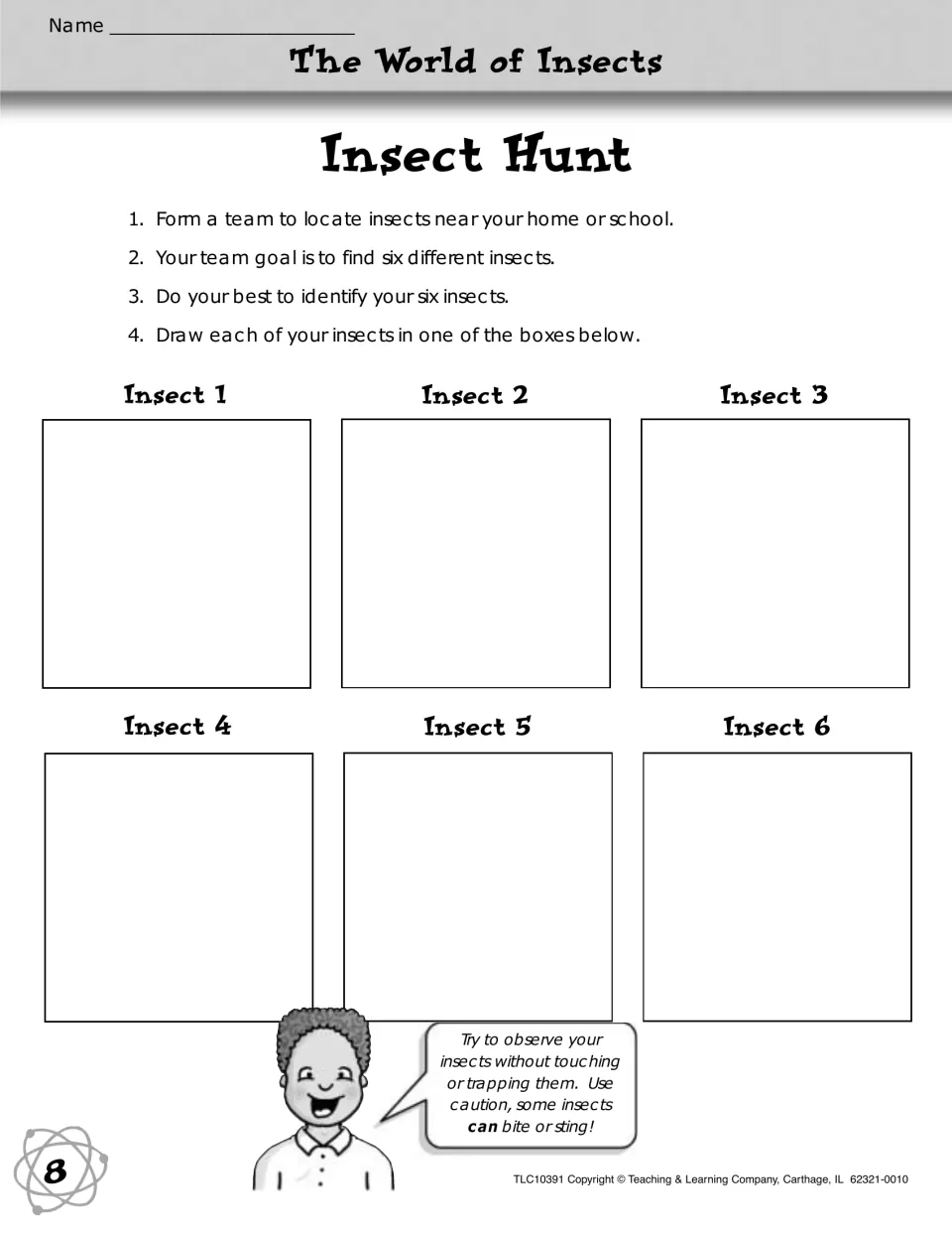 Insect Hunt: teams find, identify and draw six different insects near home or school, with a no-touching reminder