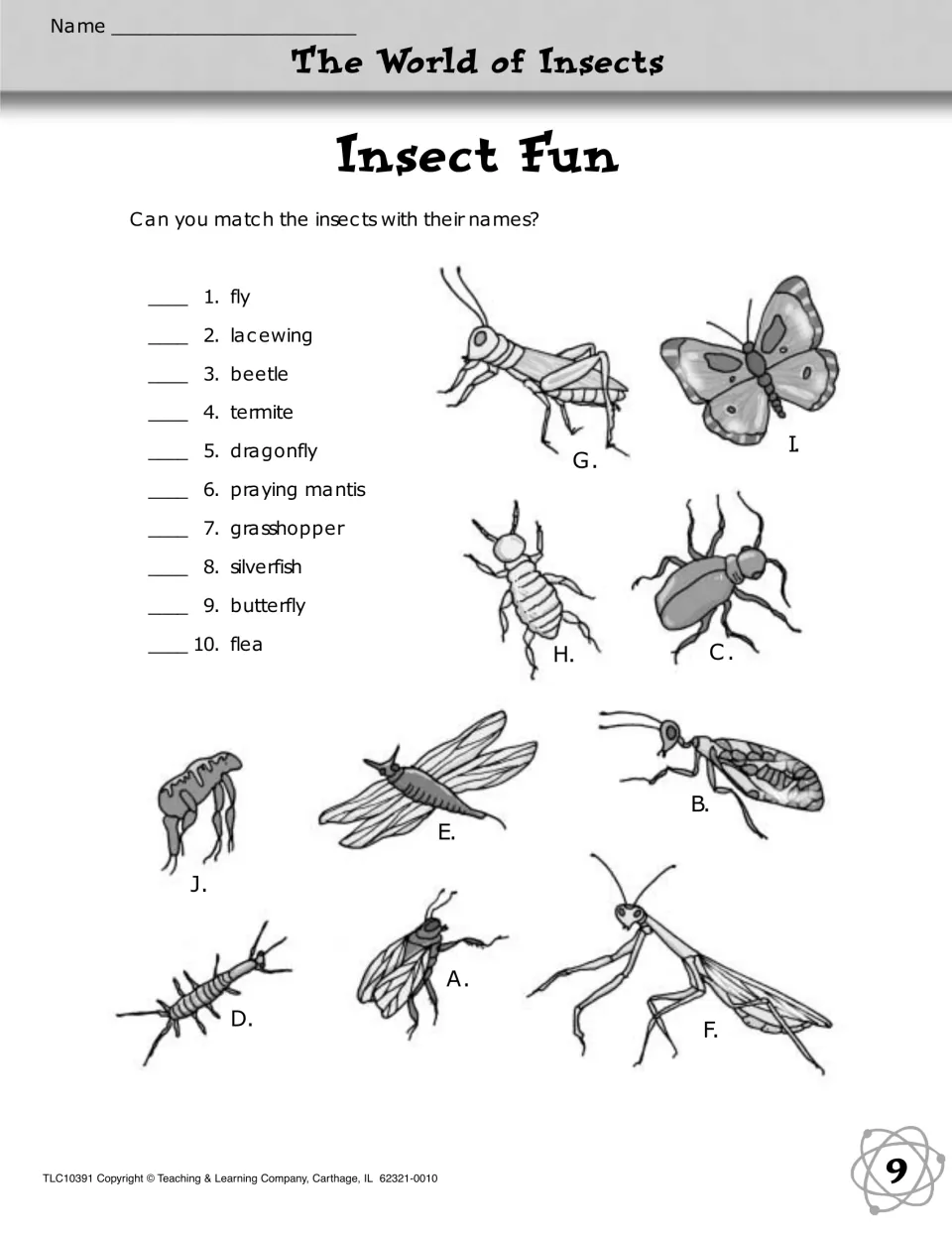Insect Fun matching: students match 10 insect names, such as lacewing, termite and silverfish, to drawings lettered A to J