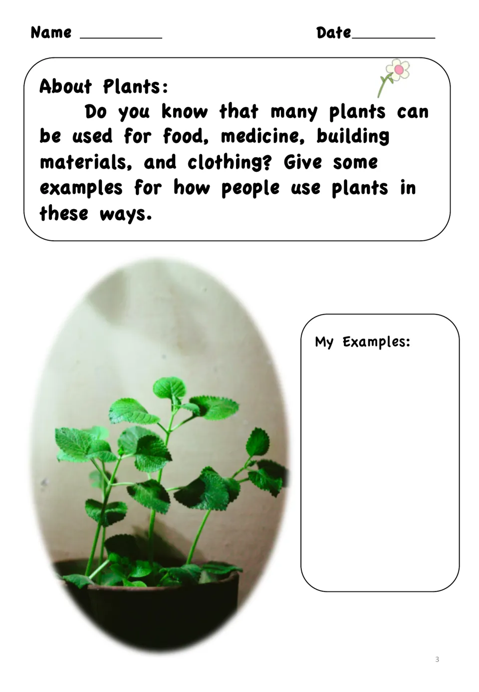 How people use plants: students give examples of plants used for food, medicine, building materials and clothing