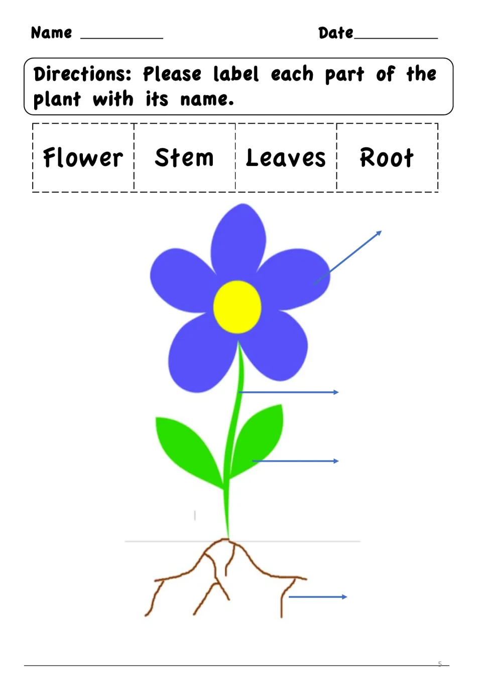 Parts of a plant: students label the flower, stem, leaves and root on a flowering plant diagram using the word bank