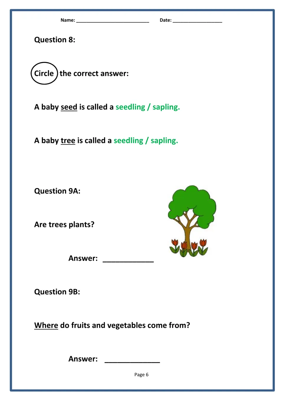 Seedlings and saplings: students circle the right term, say if trees are plants and where fruits and vegetables come from