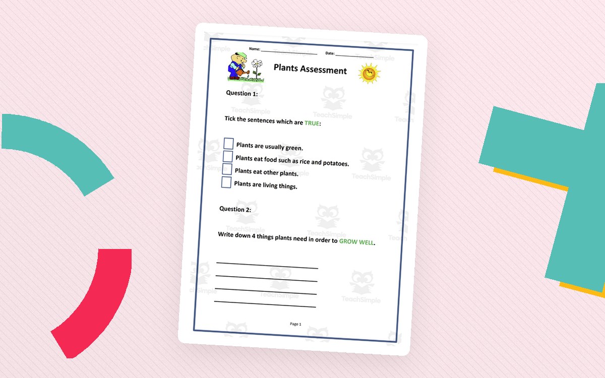 Science Assessment: Plants teaching resource preview