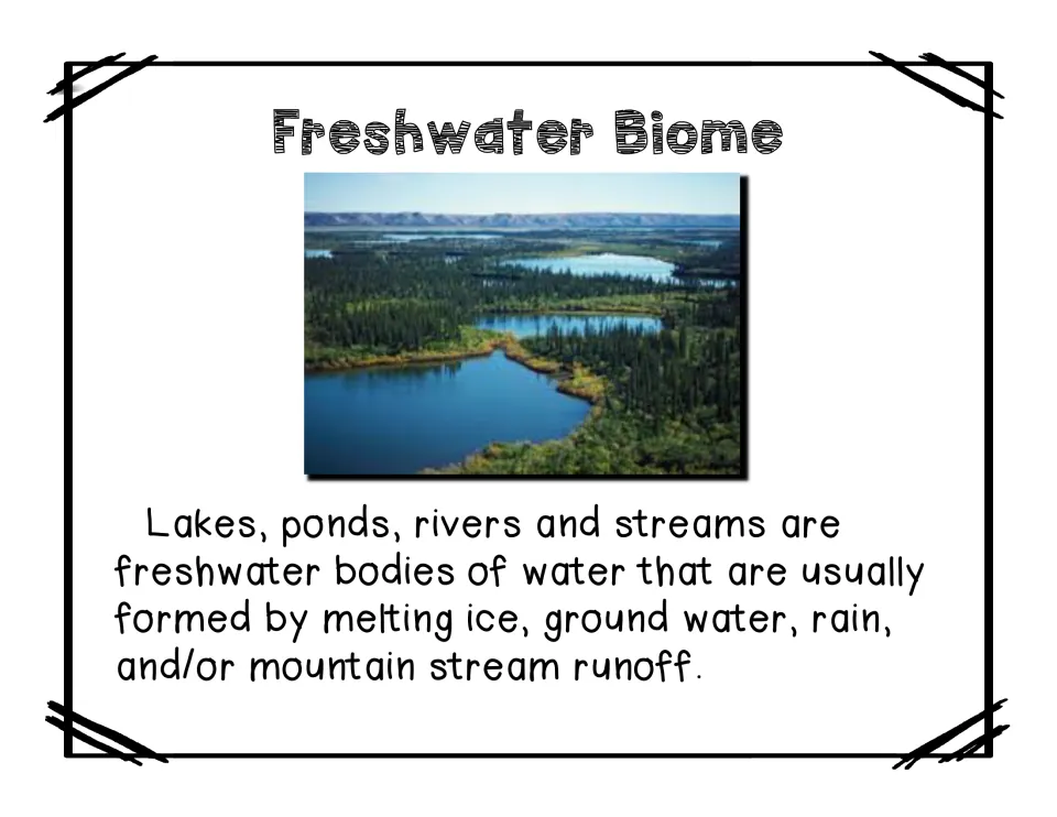 Freshwater biome reading names lakes, ponds, rivers, and streams and describes their water sources