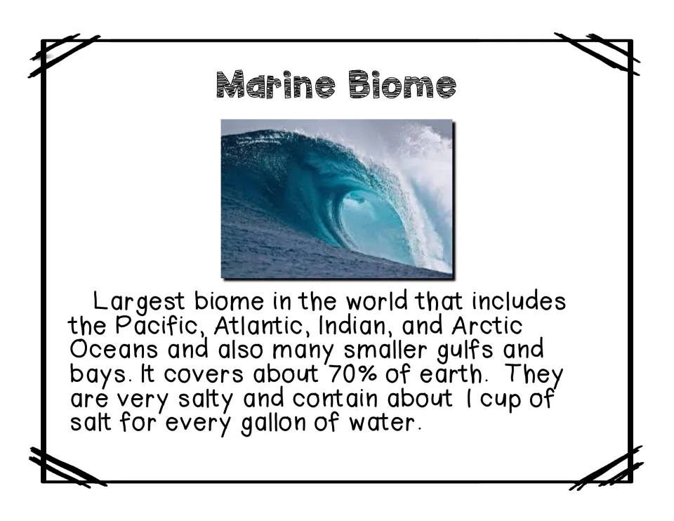 Marine biome reading describes oceans, gulfs, bays, salt content, and coverage of Earth's surface
