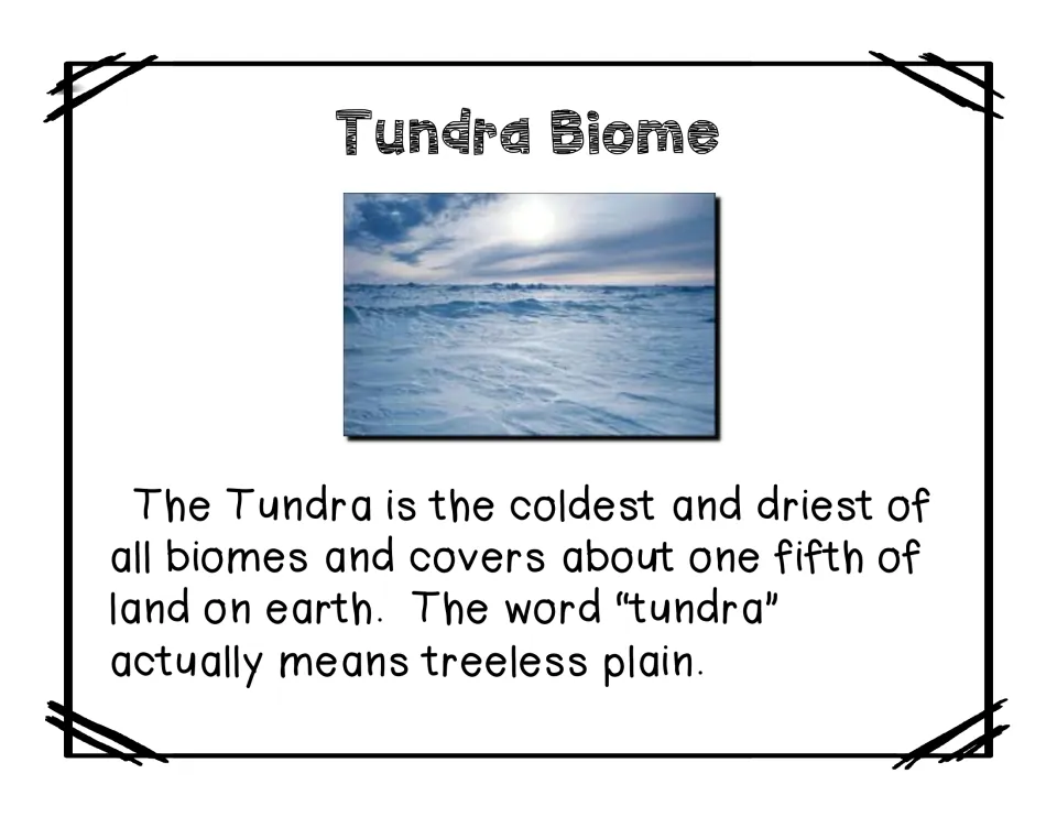 Tundra biome reading describes cold, dry conditions and explains that tundra means 'treeless plain'