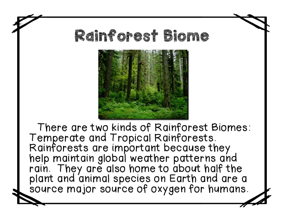 Rainforest biome reading names temperate and tropical rainforests and discusses weather and wildlife