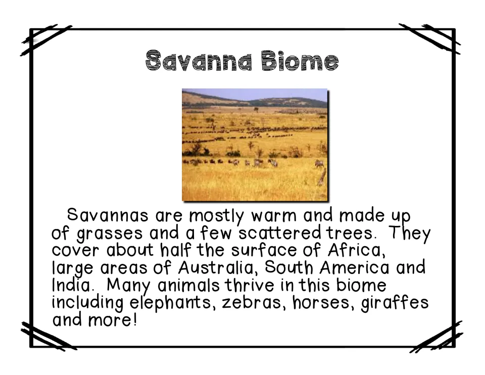 Savanna biome reading describes warm grasslands, scattered trees, locations, and animals such as zebras