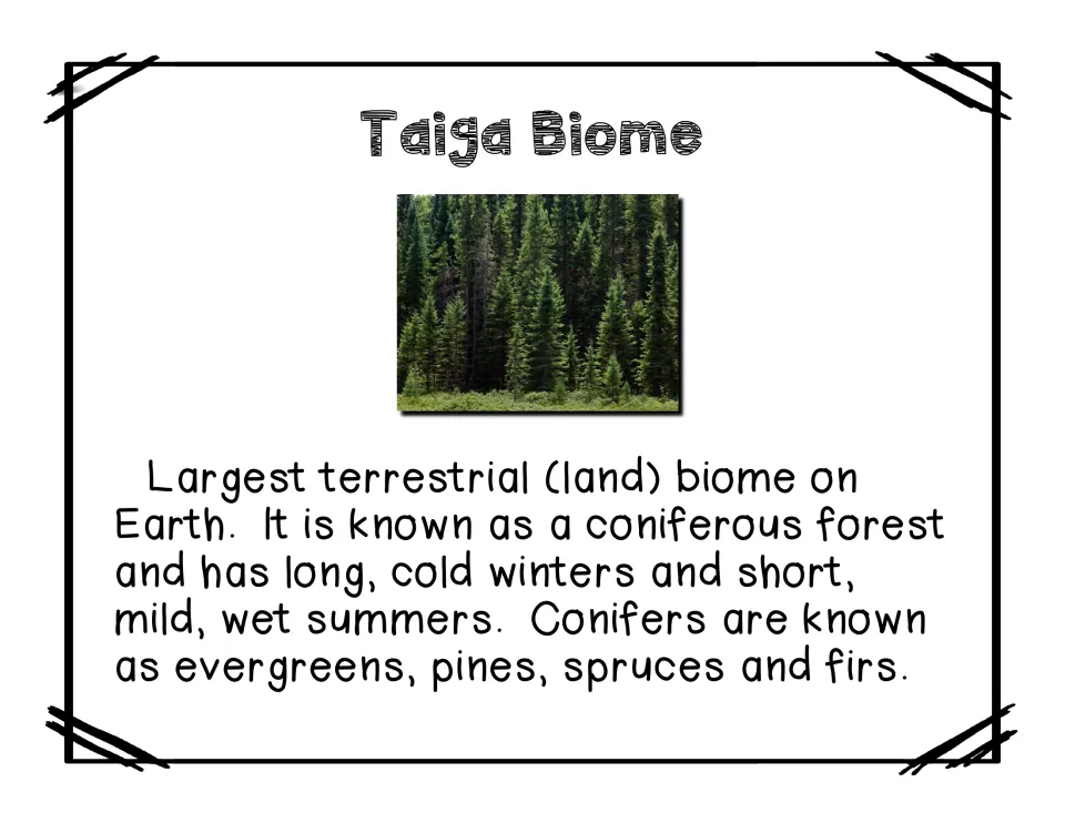 Taiga biome reading describes coniferous forests, long cold winters, short summers, and evergreen trees