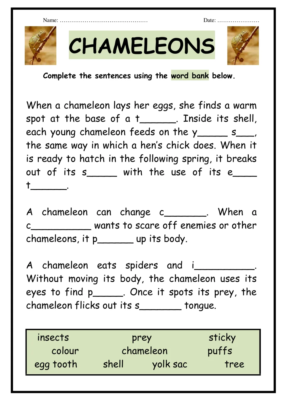 Chameleon facts cloze: students fill blanks about eggs, hatching, color change and catching prey from a 10-word bank