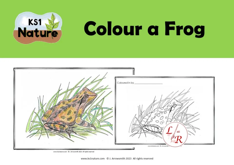 KS1 Nature Colour a Frog cover showing a coloured frog in grass beside the blank outline sheet with a name line
