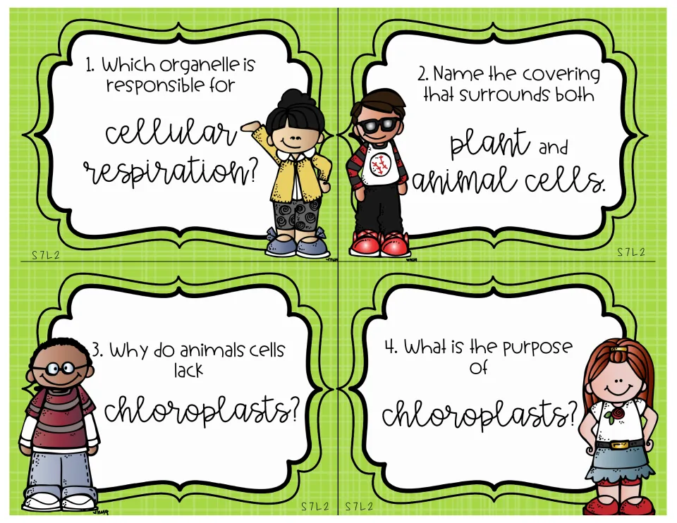 Science review cards 1–4 ask about cellular respiration, cell membranes, and chloroplasts in plant cells.