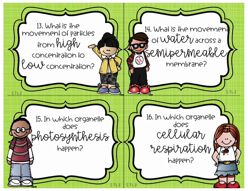 Science review cards 13–16 ask about diffusion, osmosis, and organelles for photosynthesis and respiration.