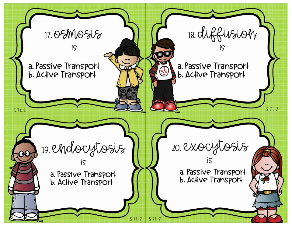 Science review cards 17–20 classify osmosis, diffusion, endocytosis, and exocytosis as passive or active.